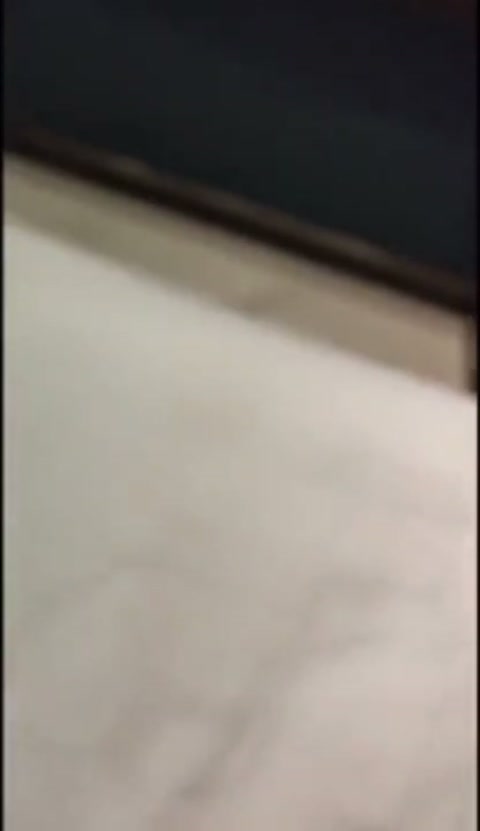 ficklenextsalamander.mp4