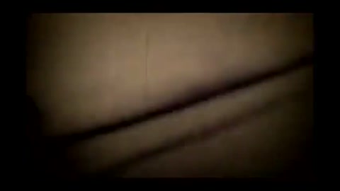 violetwidecottontail.mp4