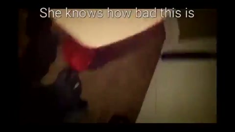 voluminouslemonchiffonwoodstorks.mp4