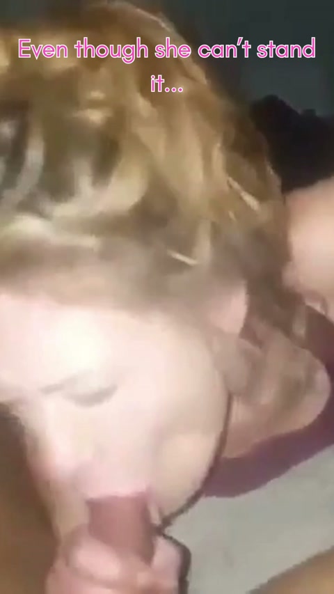 splendidinformalhornedviper.mp4
