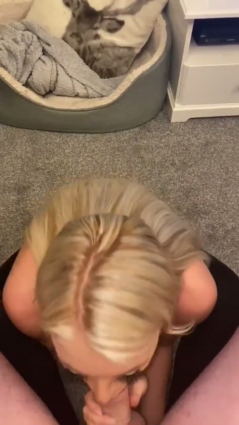 infamousstudiousthrasher.mp4