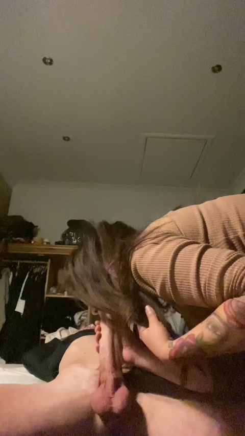 mealyluckycobra.mp4