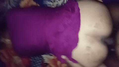 stylishfairgermanspaniel.mp4