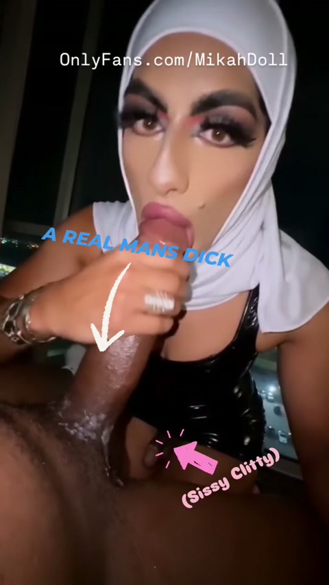putridwhitemaltesedog.mp4