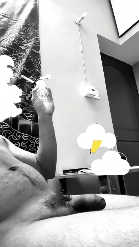 greenyouthfulspringbok.mp4